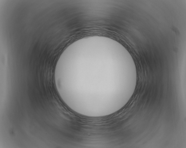 X0000112730328200908201019