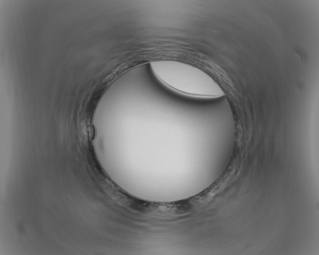 X0000112730329200908201019