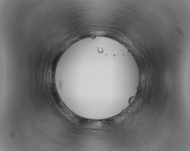 X0000112730330200908201019