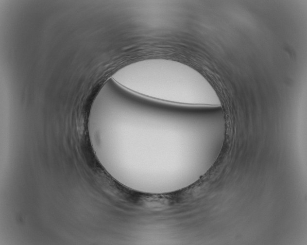 X0000112730331200908201019