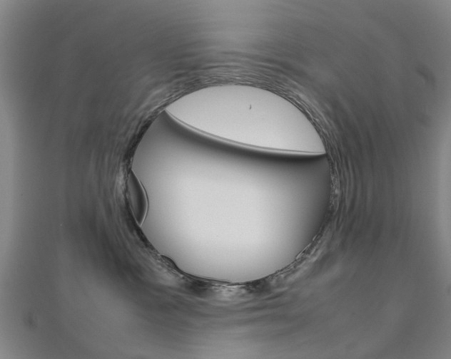 X0000112730333200908201018