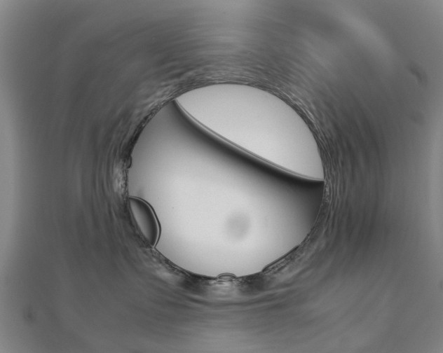 X0000112730335200908201018