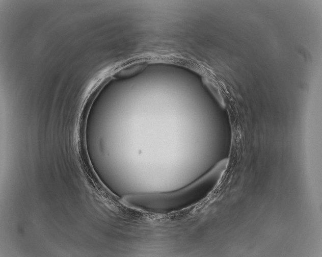 X0000112730340200908201018