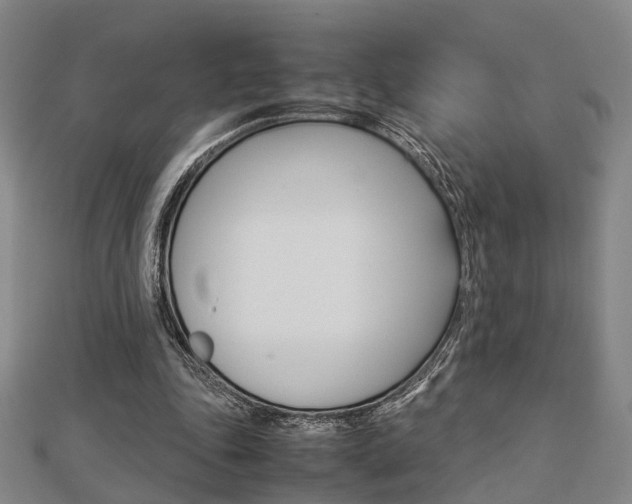 X0000112730343200908201018
