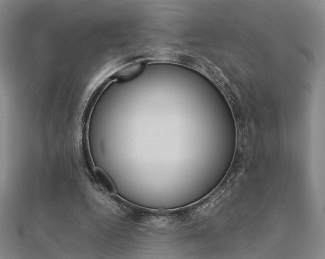 X0000112730344200908201018