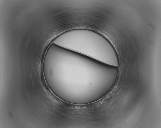 X0000112730345200908201018