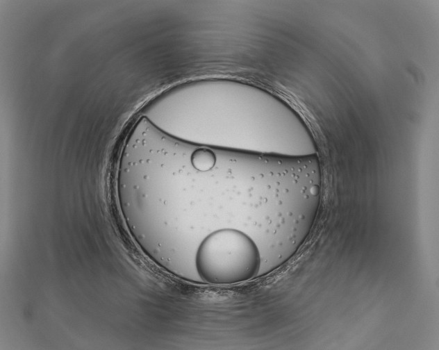 X0000112730346200908201018