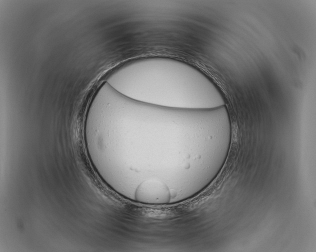 X0000112730347200908201018