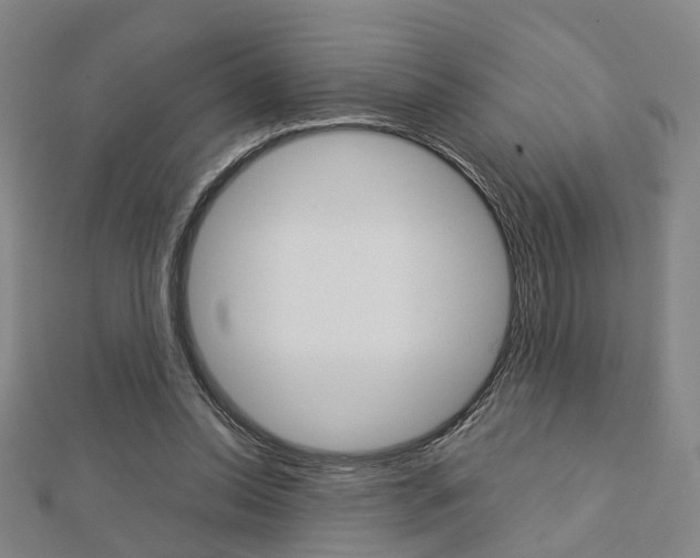 X0000112730350200908201018