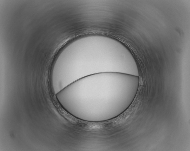 X0000112730352200908201018
