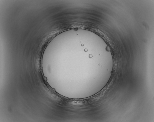X0000112730353200908201018