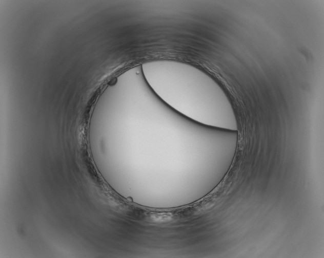 X0000112730355200908201018