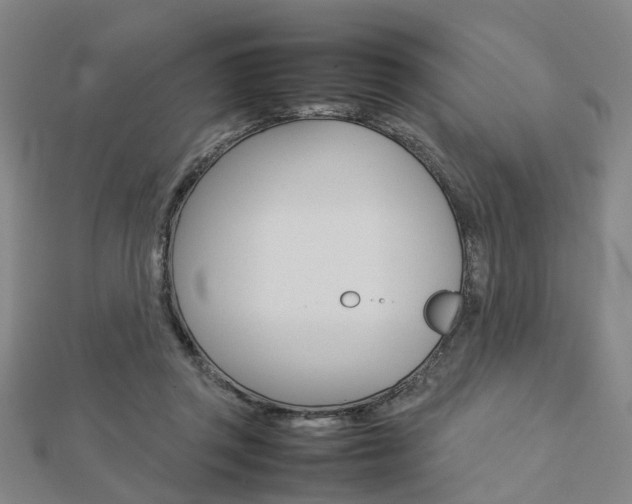 X0000112730357200908201018