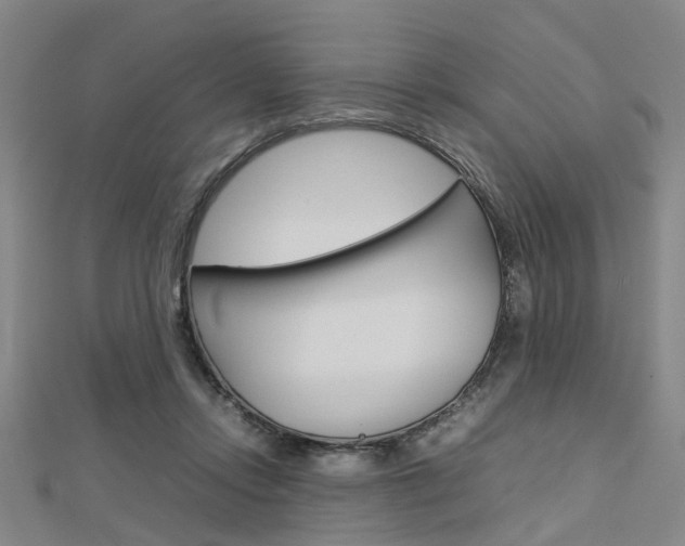 X0000112730358200908201018