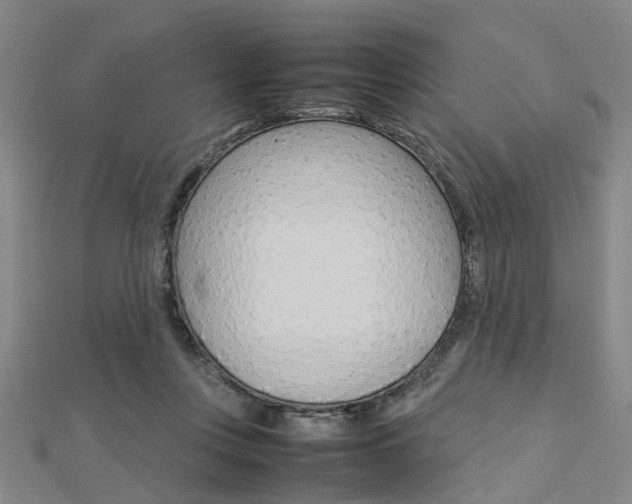 X0000112730359200908201018