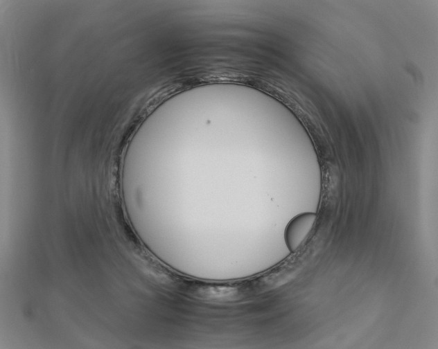 X0000112730361200908201018