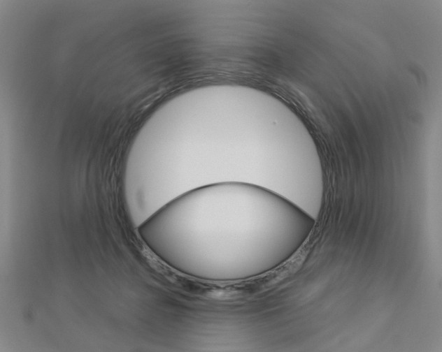 X0000112730364200908201018