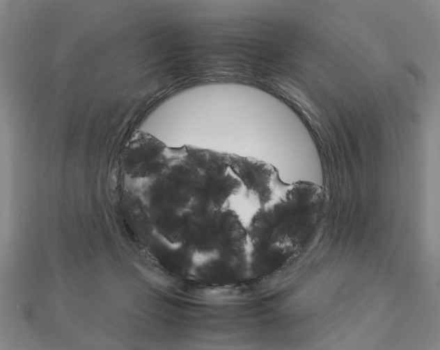 X0000112730365200908201018