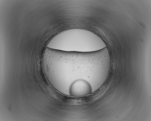 X0000112730366200908201018