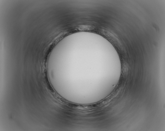 X0000112730367200908201018