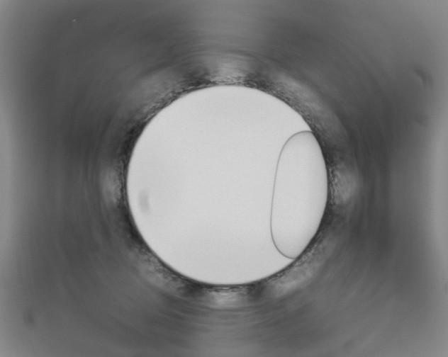 X0000112730370200908201018