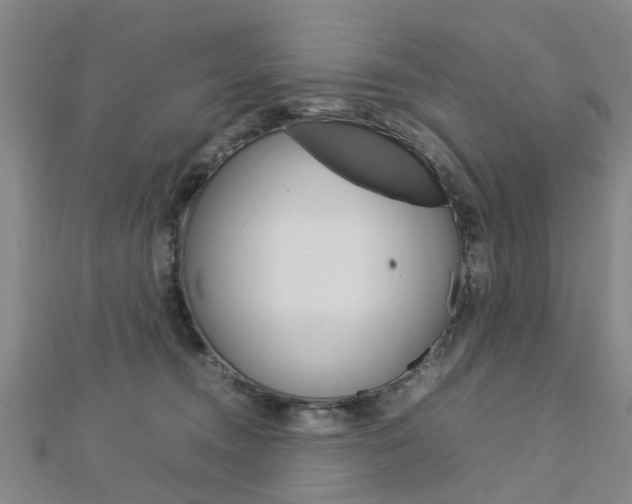X0000112730372200908201018