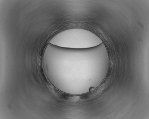 X0000112730374200908201018