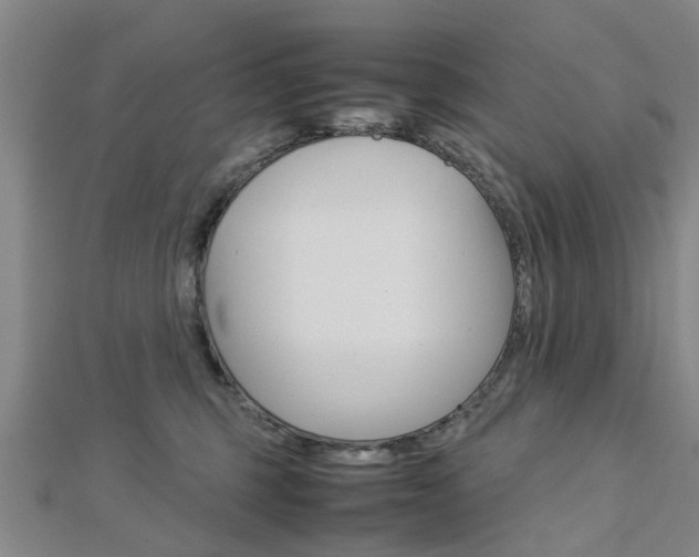 X0000112730375200908201018