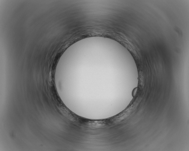 X0000112730378200908201018