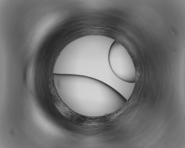 X0000112730381200908201018