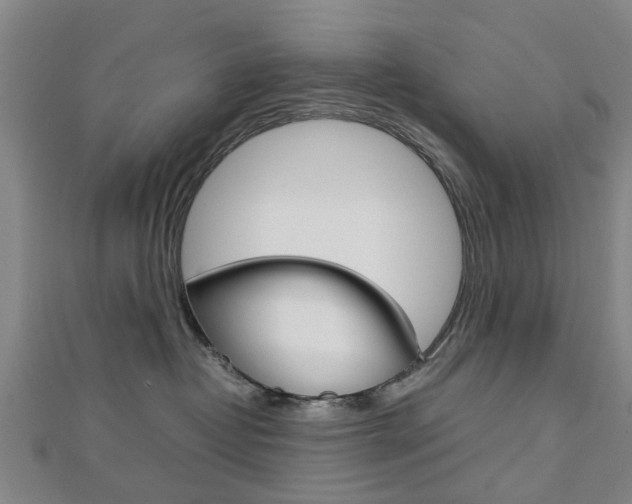 X0000112730382200908201018