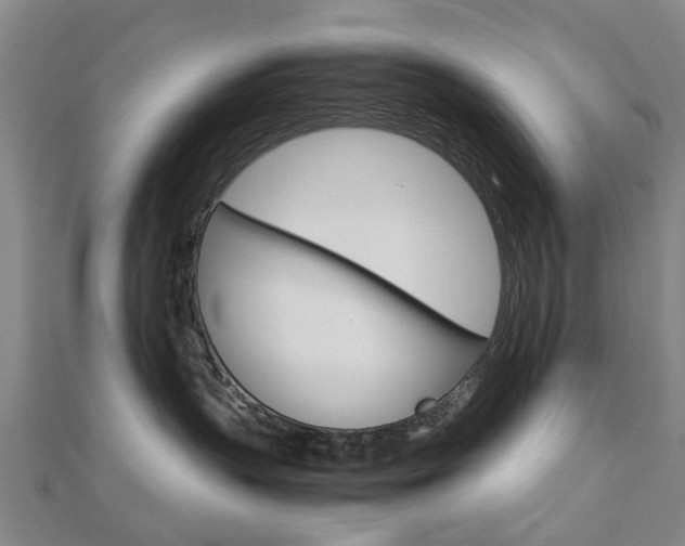 X0000112730383200908201018