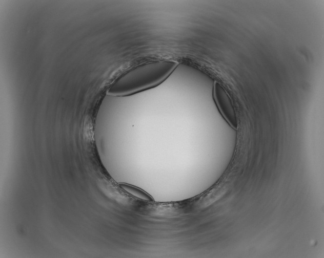 X0000112730384200908201018