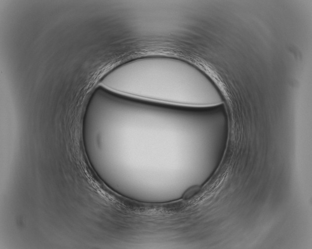 X0000112730385200908201018