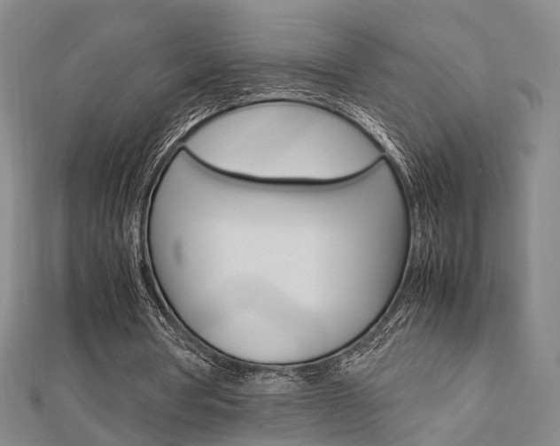 X0000112730386200908201018