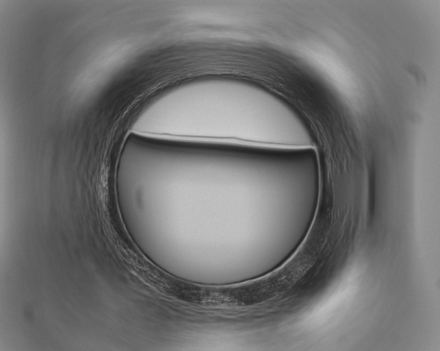 X0000112730387200908201018