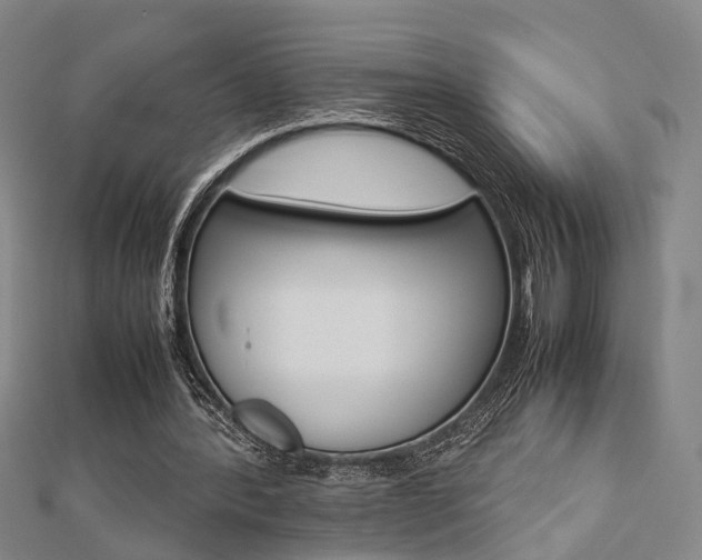 X0000112730388200908201018