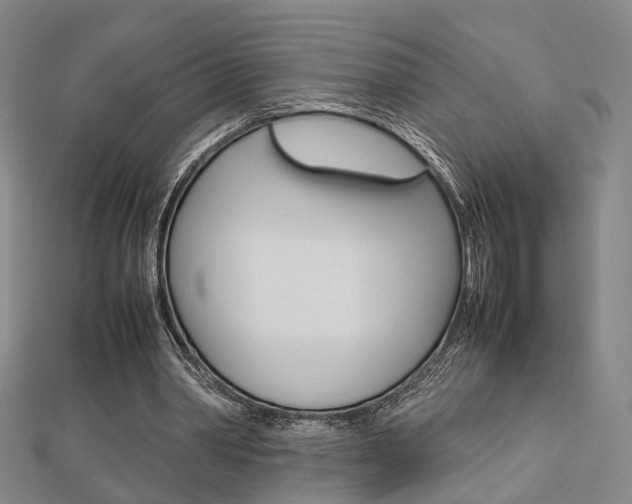 X0000112730390200908201018
