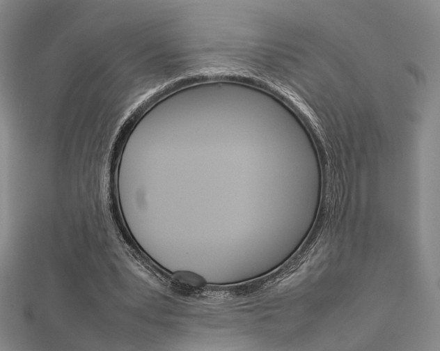 X0000112730391200908201018