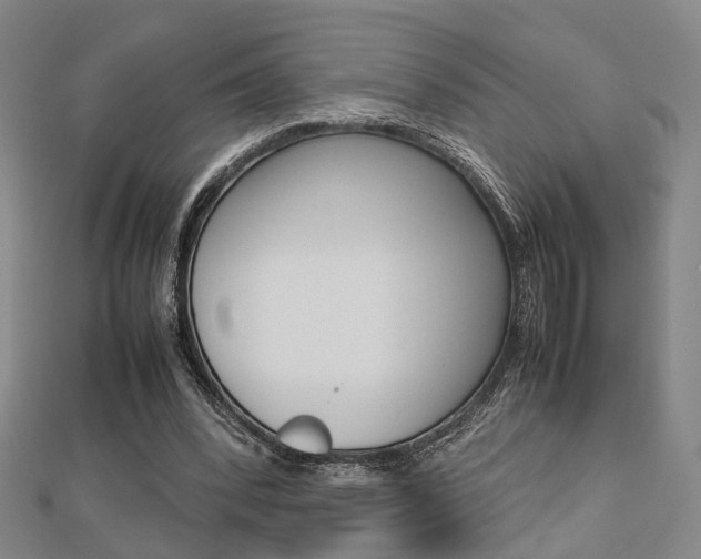 X0000112730392200908201018