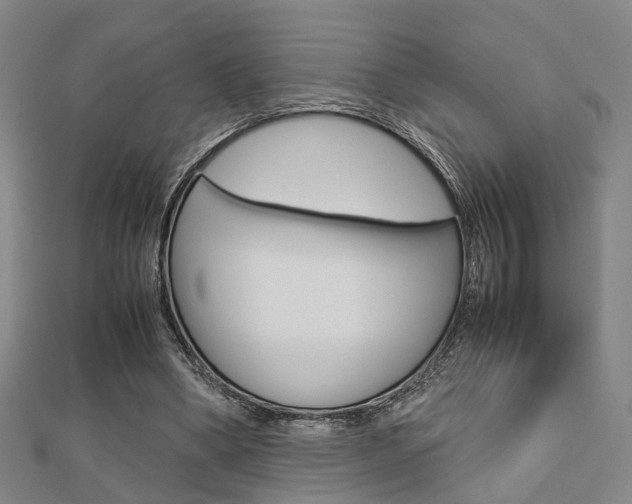 X0000112730394200908201018