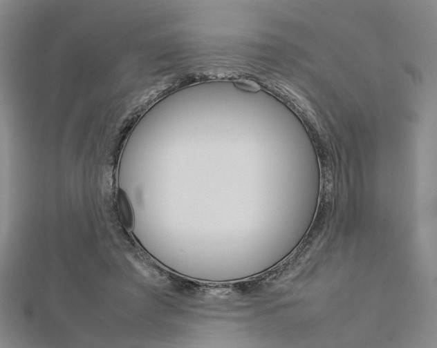 X0000112730401200908201018