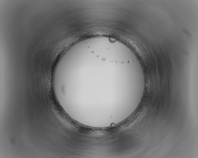 X0000112730402200908201018