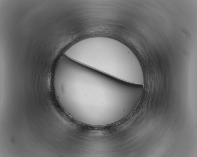 X0000112730404200908201018