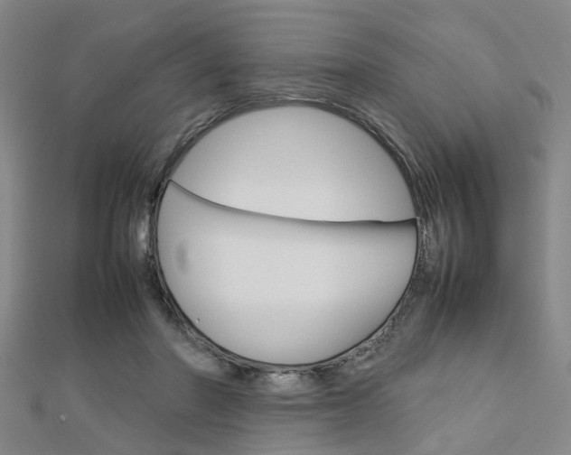 X0000112730406200908201018