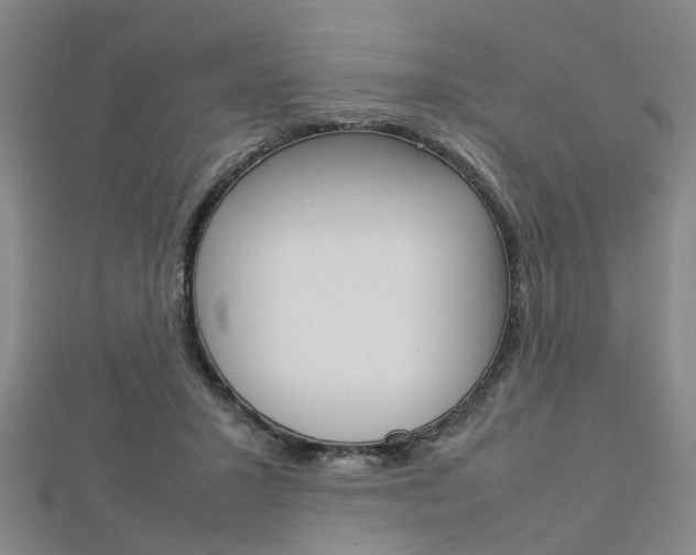 X0000112730407200908201018