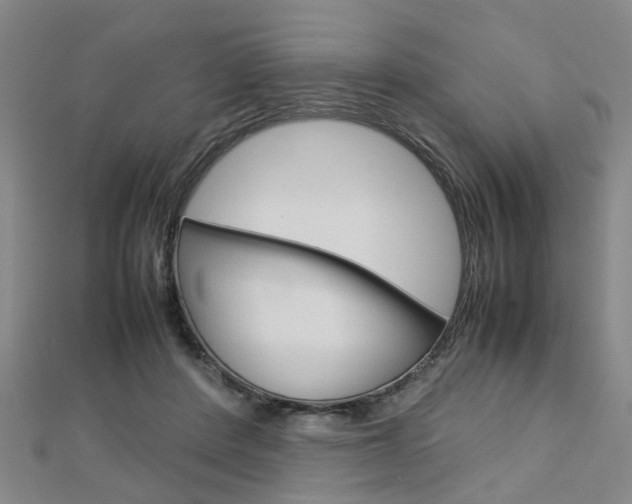 X0000112730408200908201018