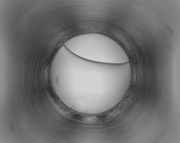 X0000112730410200908201017