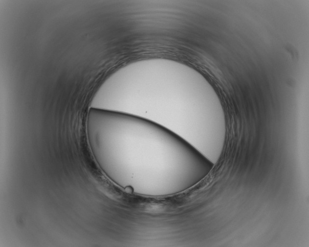 X0000112730412200908201017