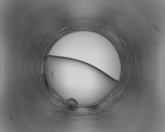 X0000112730413200908201017